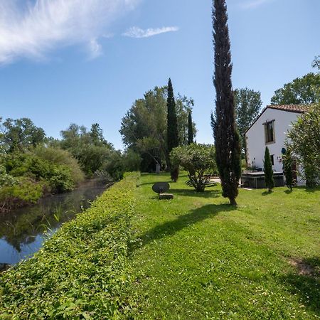Mas Des Eaux Claires Arles Camargue Villa Сан-Жил Екстериор снимка